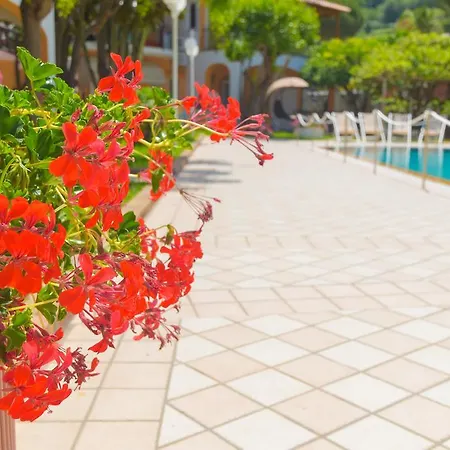 Guest house Ischia Dream Sunset Forio (Isola d'Ischia)